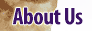 Link to About US