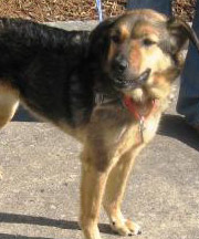 adopt Hope
